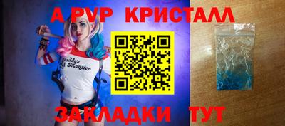 гидра Камышлов