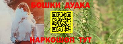 гидра Камышлов