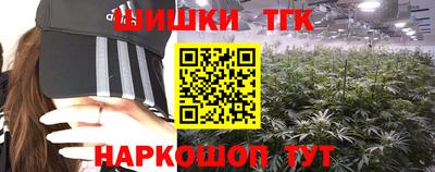 гидра Камышлов