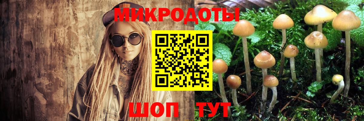 Псилоцибиновые грибы GOLDEN TEACHER  Псилоцибиновые грибы ЛСД  Вход с VPN  Жигулёвск 